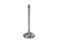 Picture of Race  Ford 429 Ex. Vlv Kit - 1.760 in. Head Dia.,5.042 in. O/A ,.3415 in. Stem