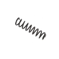 Picture of B3 OE Replacement - Coil Spring