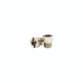 Picture of Standard Main Jet Carburetor Metering Jet #12456 Size .055 (Pair)