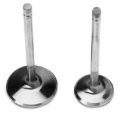 Picture of Exhaust Valves for #60797 Cylinder Heads