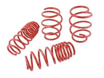 Picture of Skunk2 16-17 Honda Civic Lowering Springs (1.375in - 1.25in) (Set of 4)