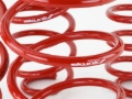 Picture of Skunk2 16-17 Honda Civic Lowering Springs (1.375in - 1.25in) (Set of 4)