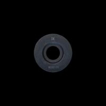 Picture of Brian Crower Nissan KA24DE Steel Retainers