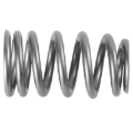 Picture of Ford Racing PAC 1219X Valve Spring - Single (for M-6049-Z304DA)