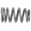 Picture of Ford Racing PAC 1219X Valve Spring - Single (for M-6049-Z304DA)