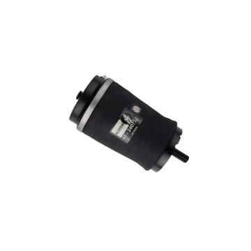 Picture of B3 OE Replacement (Air) - Air Suspension Spring
