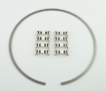 Picture of Wilwood Kit Snap Ring (1) and Wear Plates (8) Dynamic Drag Rotor