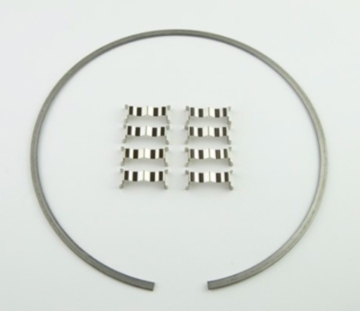 Picture of Wilwood Kit Snap Ring (1) and Wear Plates (8) Dynamic Drag Rotor