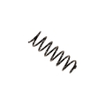 Picture of B3 OE Replacement - Coil Spring