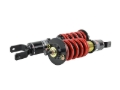Picture of Skunk2 Racing SK Pro-ST Coilovers - 541-05-8720