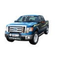 Picture of Westin 2004-2014 Ford F-150 (6.75 ft Bed)(Excl. Heritage Edition) Platinum Oval Bed Rails - SS