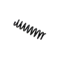 Picture of B3 OE Replacement - Coil Spring