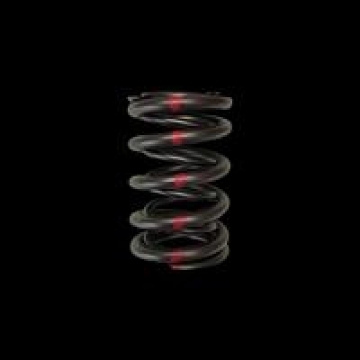 Picture of Brian Crower Honda H22/Nissan SR20VE Dual Valve Spring - Single