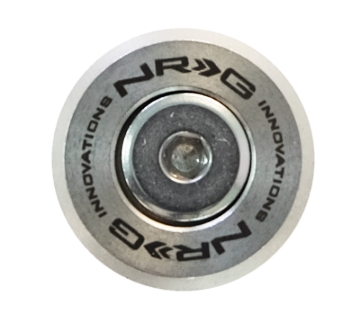 Picture of NRG M-Style Fender Washer Kit (TI Series) M6 Bolts For Plastic (Silver Wshr/Silver Scrw) - Set of 10