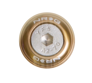 Picture of NRG Fender Washer Kit w/Rivets For Metal (Titanium) - Set of 10