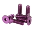 Picture of NRG Steering Wheel Screw Upgrade Kit (Conical) - Purple