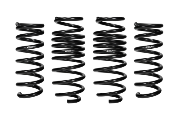 Picture of Pro-Kit Lowering Springs