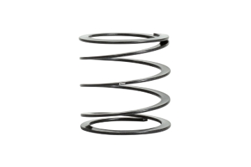 Picture of Individual Race Spring