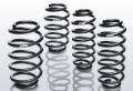Picture of Pro-Kit Lowering Springs