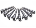 Picture of Exergy XRG Reman Injector-45% Over Fuel Injectors - E01 10116