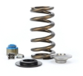 Picture of VALVE SPRING KIT, FORD COY Ti RETAINERS