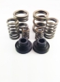 Picture of DDP 94-98 Dodge Cummins 5.9L 12V P-Pump 3000 & 4000 RPM Governor Spring Kit