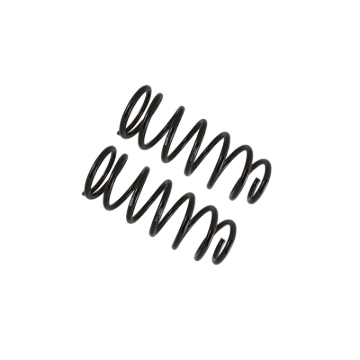 Picture of B12 (Special) - Coil Spring Set
