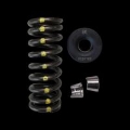 Picture of Brian Crower Honda R18 Single Spring/Steel Retainer/Keeper Kit