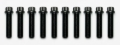 Picture of Wilwood Bolt Kit - 1/2-20 x 2.00 LG - 12 PTCS - 10 pk.