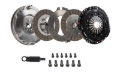 Picture of DKM Clutch BMW F22/F23 M 235i MS Organic Twin Disc Clutch Kit w/Flywheel (660 ft/lbs Torque)