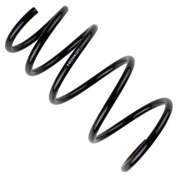 Picture of B3 OE Replacement - Coil Spring
