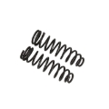 Picture of B12 (Special) - Coil Spring Set