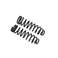 Picture of B12 (Special) - Coil Spring Set