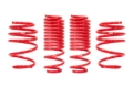 Picture of Sportline Lowering Springs