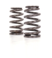 Picture of VALVE SPRING, 1.28" OD BEEHIVE LS6 PLUS