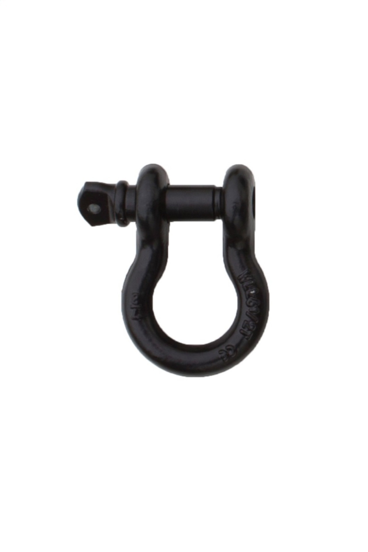 Picture of Rampage 1955-2019 Universal Recovery D Ring 7/8in Black - Black