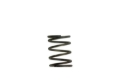 Picture of Turbosmart WG40 5PSI Inner Spring Brown/Grey