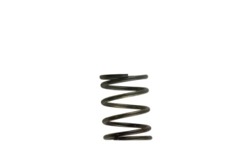Picture of Turbosmart WG40 5PSI Inner Spring Brown/Grey