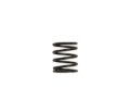Picture of Turbosmart WG40 3PSI Inner Spring Brown/Black