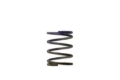 Picture of Turbosmart WG40 7PSI Middle Spring Brown/Purple