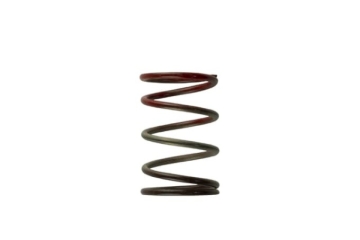 Picture of Turbosmart WG40 11PSI Middle Spring Brown/Red