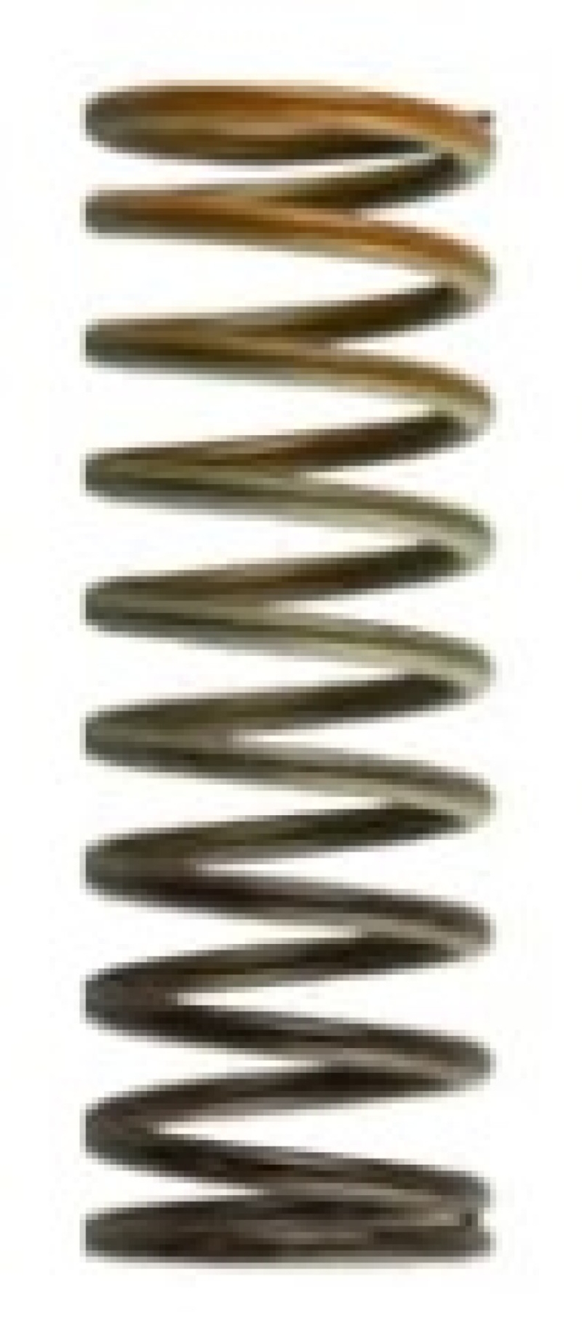 Picture of Turbosmart WG 38/40/45 HP 10 PSI Inner Spring Brown / Orange
