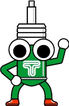 Picture of Tein Damper Keychain - Green/Black