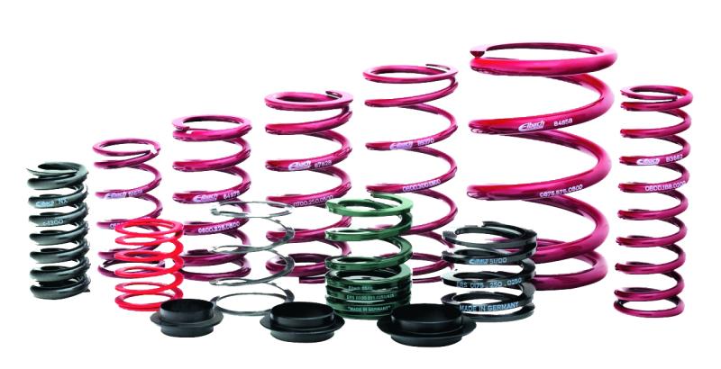 Picture of Individual Race Spring