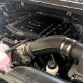 Picture of Edelbrock Stg 1 Supercharger Kit #158120 For 2019-20 Ford F-150 5.0L 4V W/O Tune