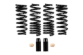 Picture of Pro-Kit Lowering Springs