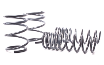 Picture of H&R 04-06 BMW 525i/530i/545i E60 Race Spring (w/o Self Leveling)