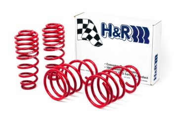 Picture of H&R 05-09 Ford Mustang/Convertible/GT/Shelby GT/Shelby GT-H V6/V8 Race Spring