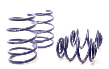 Picture of H&R 95-98 BMW 318ti E36 Compact Race Spring