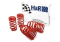 Picture of H&R 96-98 Volkswagen Golf/Jetta 8V MK3 Race Spring (After 7/1/96)